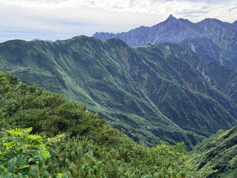 西鎌尾根を見ながら下山