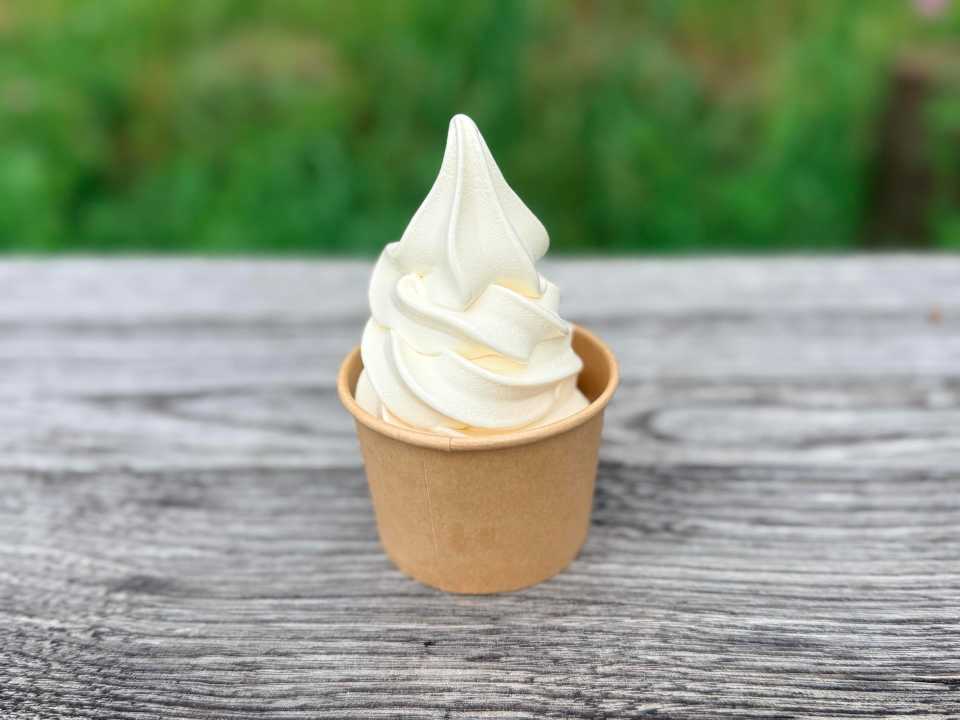 ひとつ500円。カップを選択