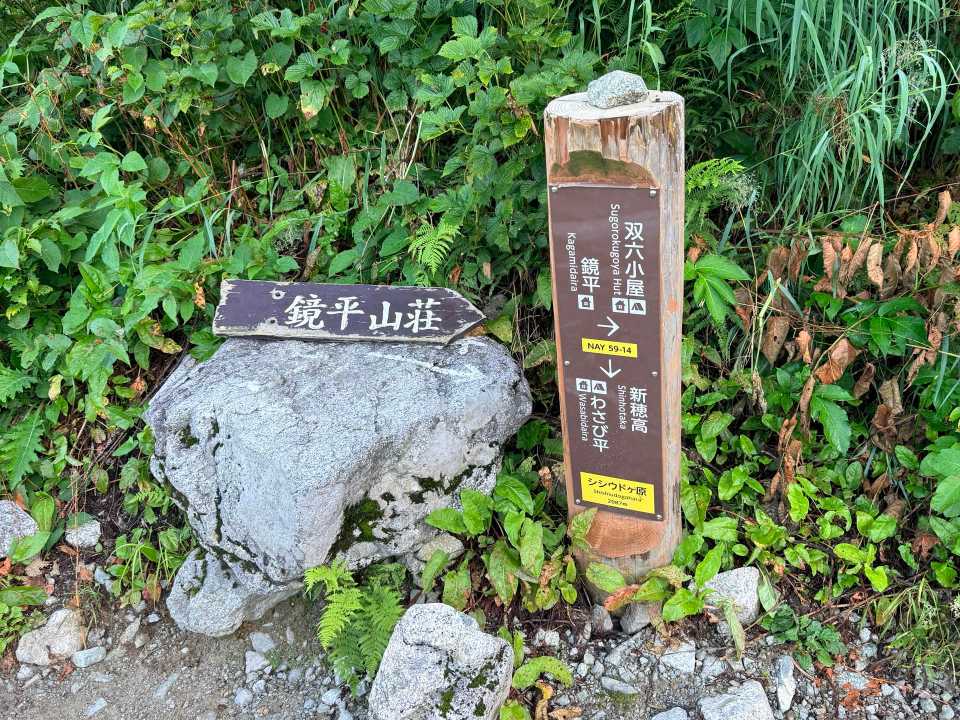 シシウドヶ原に到着