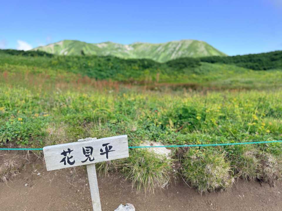 花見平の看板