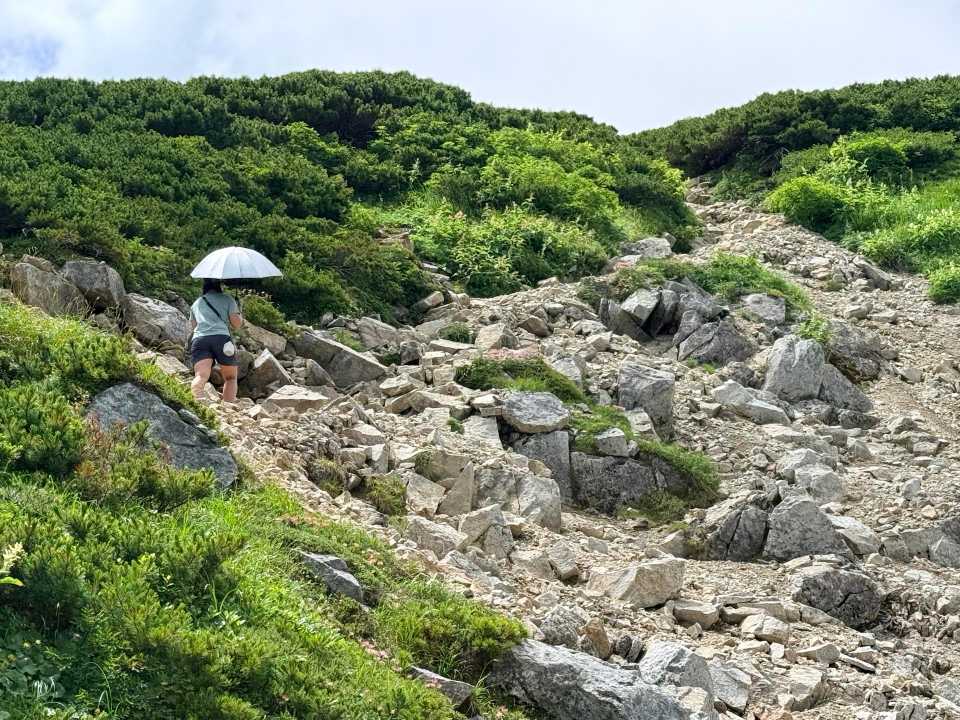 登り切れば双六台地です