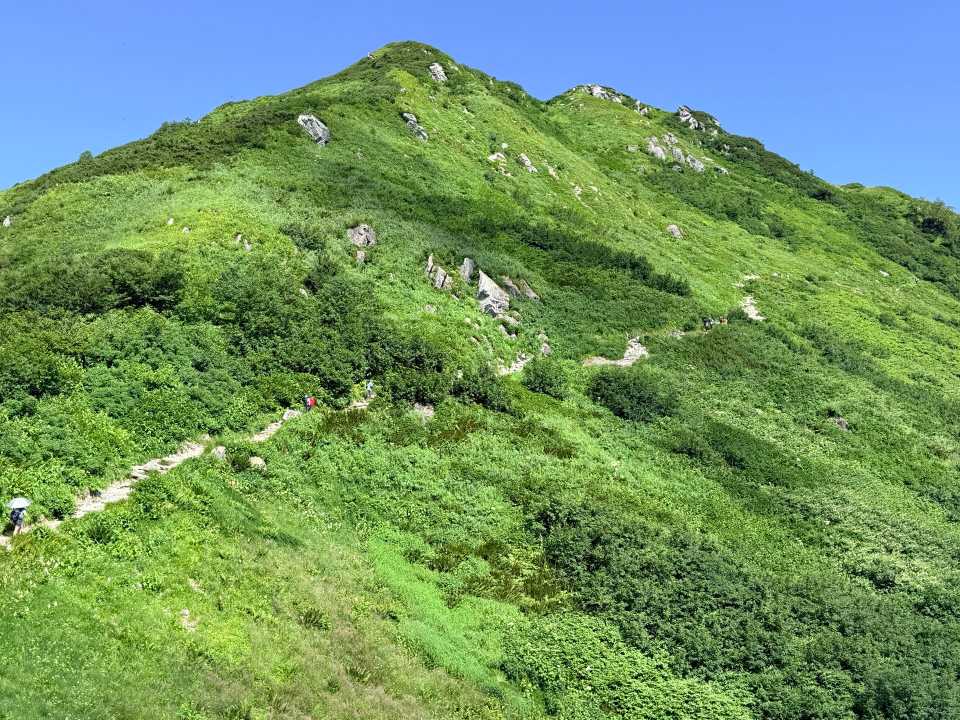弓折中段まで来ました