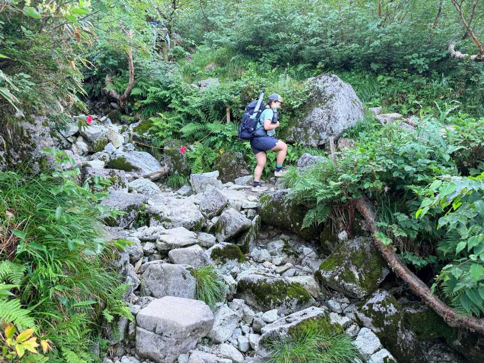 ここからしっかり登る