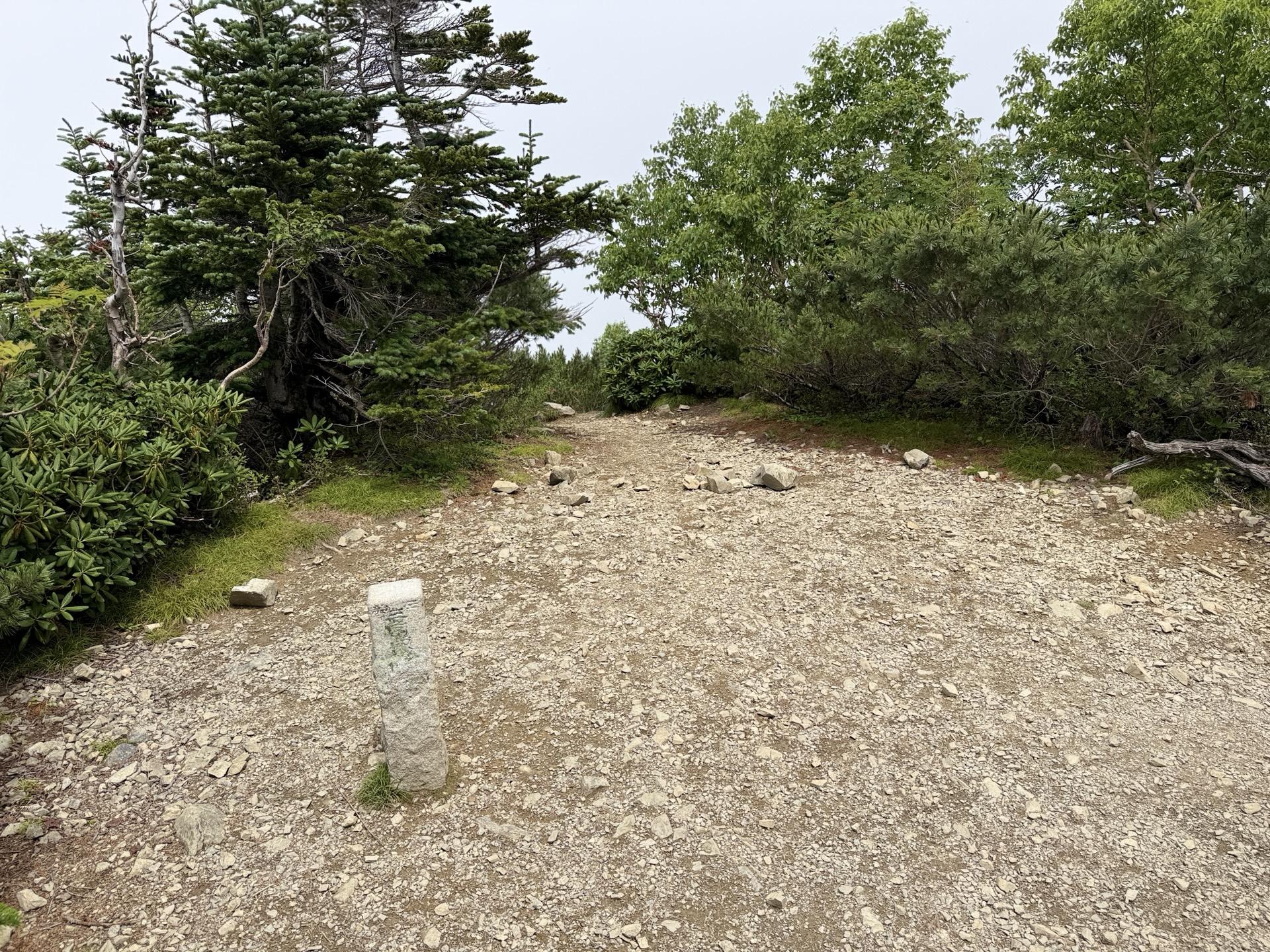 本谷山の山頂はご覧の通り周りを木々に覆われている。 少し先に眺望が良さそうなポイ