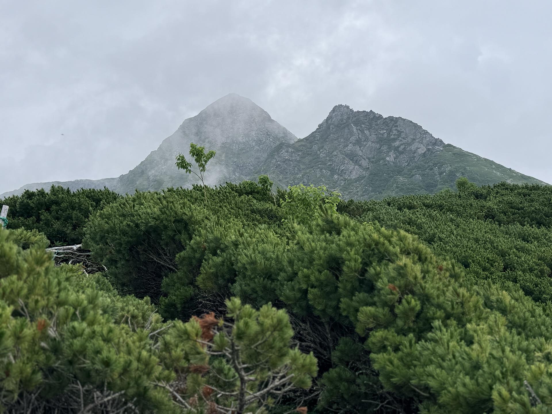 あっ!ようやく塩見岳が見えた👀 手前の岩々した山も大変そうですね💡