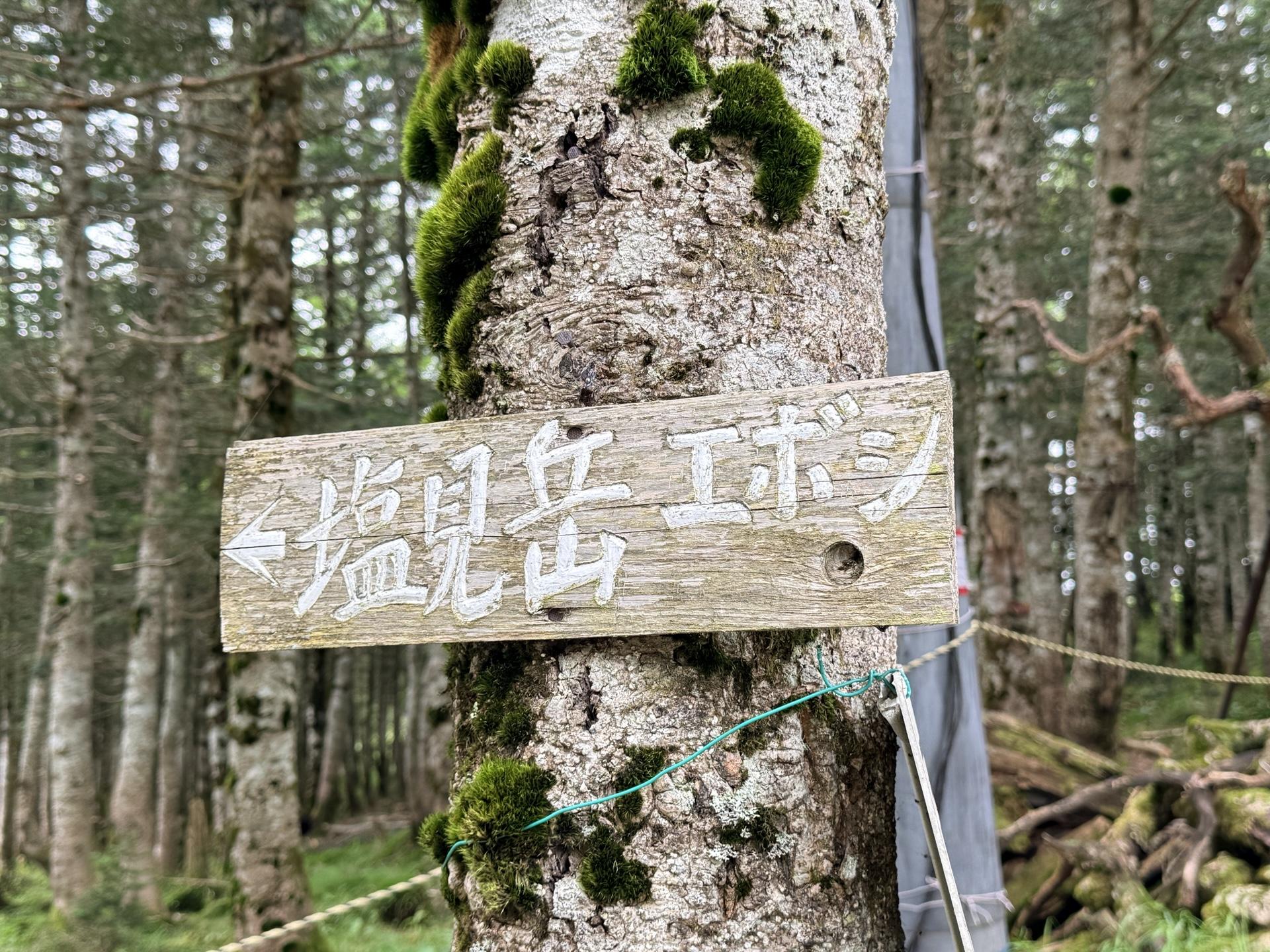 さて、塩見岳方面へ向かうとしましょう