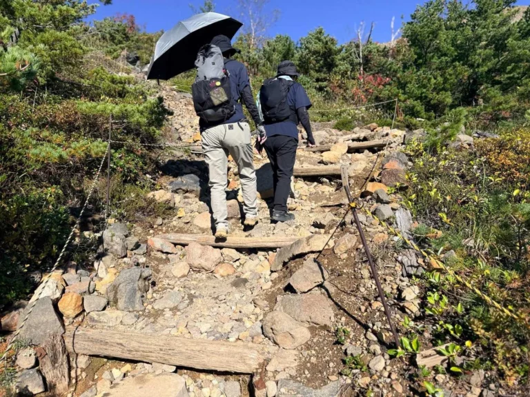 酸ヶ平へ向かう登山道の木段