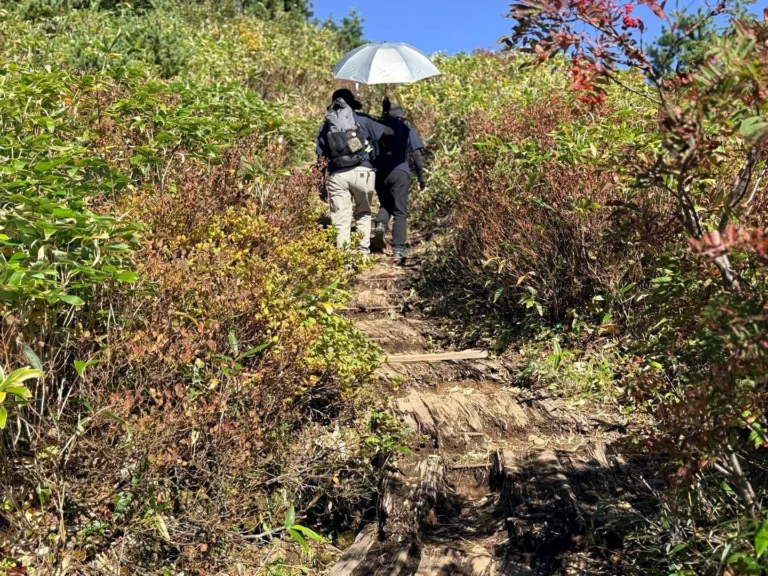 酸ヶ平への登山道で撮影した酸ヶ平への登り