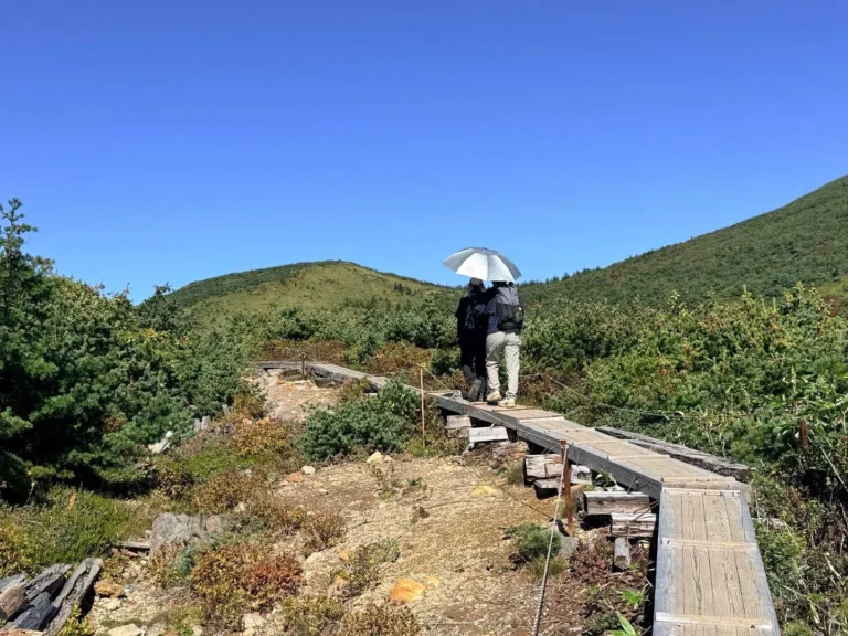酸ヶ平への登山道で撮影した続く木道