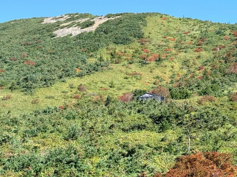 酸ヶ平への登山道で撮影した酸ヶ平避難小屋が見えた