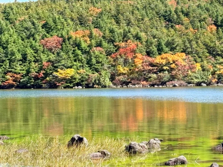 鎌沼で撮影した水面に映る秋色