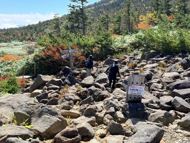 姥ヶ原の岩が多い登山道