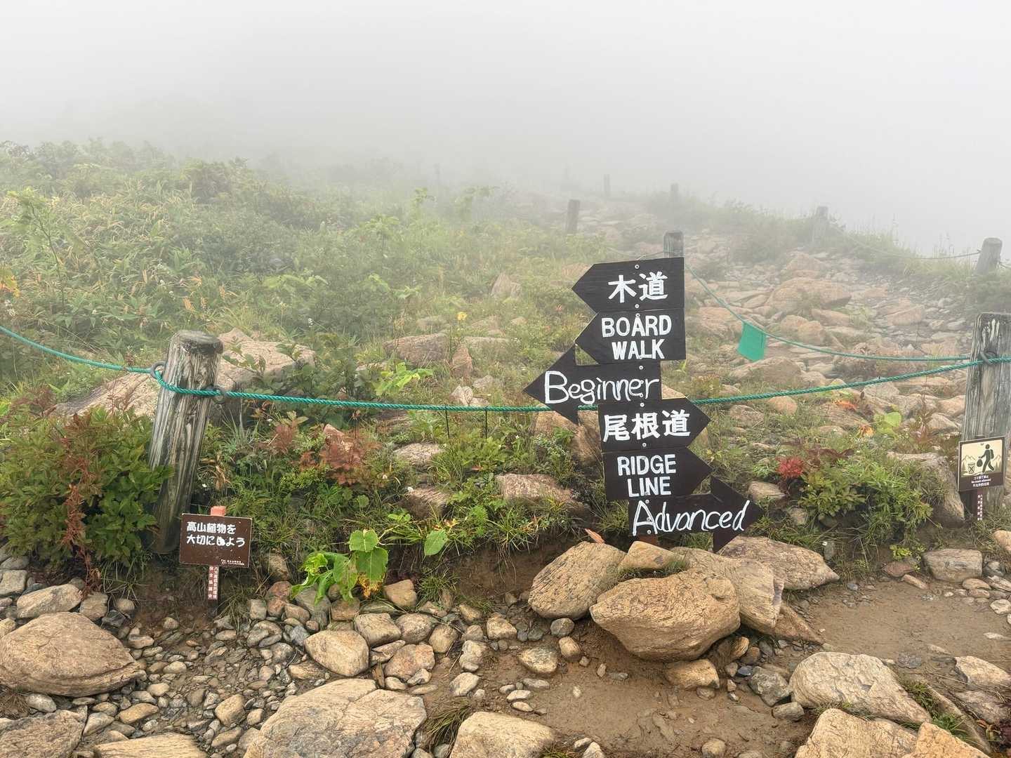 唐松岳・八方尾根の木道と尾根道の分岐（2026年9月）