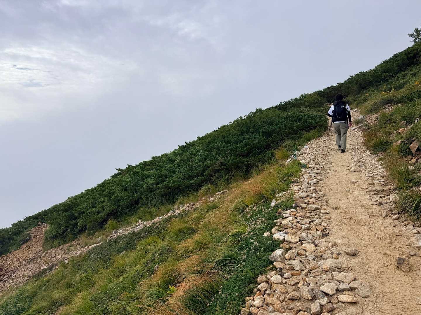 唐松岳・八方尾根の丸山へ続く登山道（2026年9月）