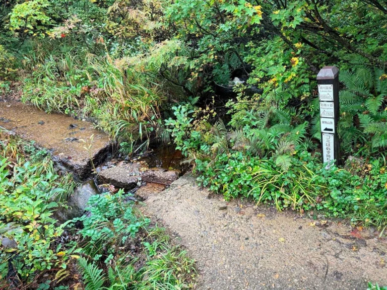 名残ヶ原の手前にある舗装された登山道