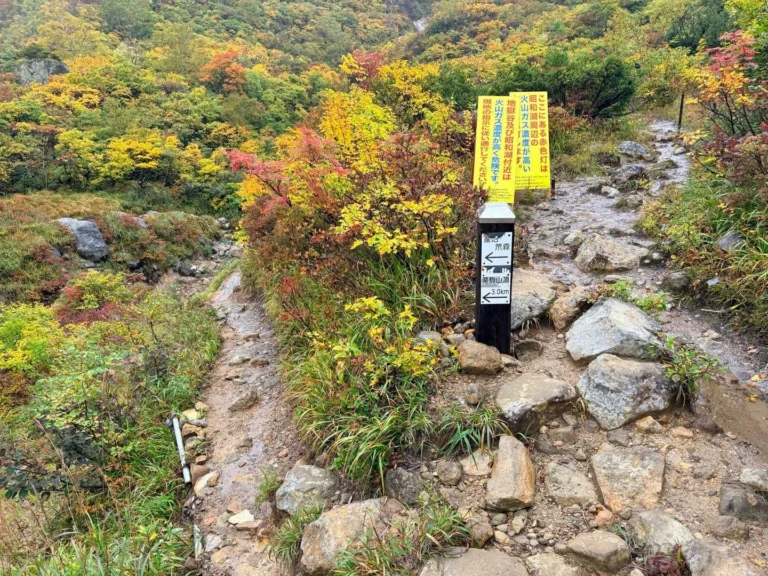 栗駒山・須川コースと産沼コース ここは苔花台と呼ばれる場所