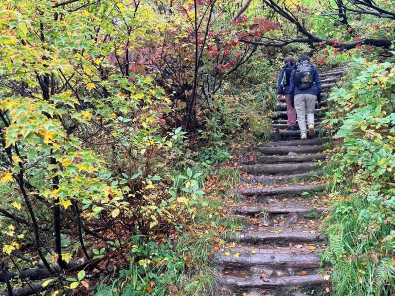 栗駒山・須川コースと産沼コース 木段の間に水がしっかりたまってるので靴を濡らさないように