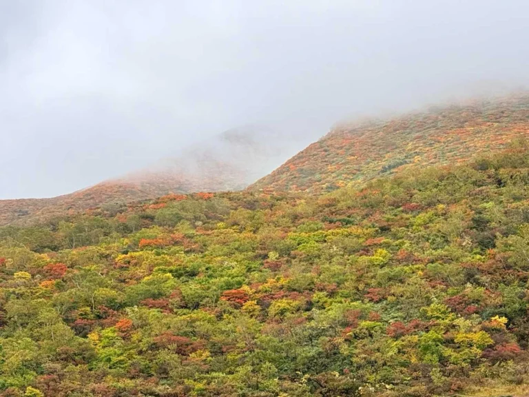 栗駒山・須川コースと産沼コース 山肌の色付きがすごいよ