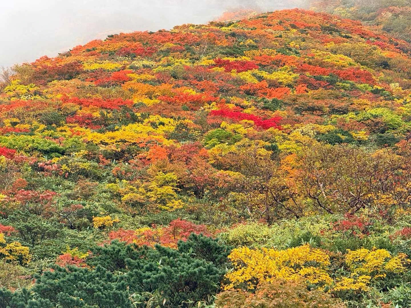 栗駒山の紅葉を須川コースから日帰り周回｜昭和湖・産沼・温泉と下山飯