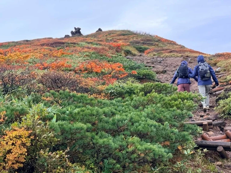 栗駒山・須川コースと産沼コース 山頂に向かって登る
