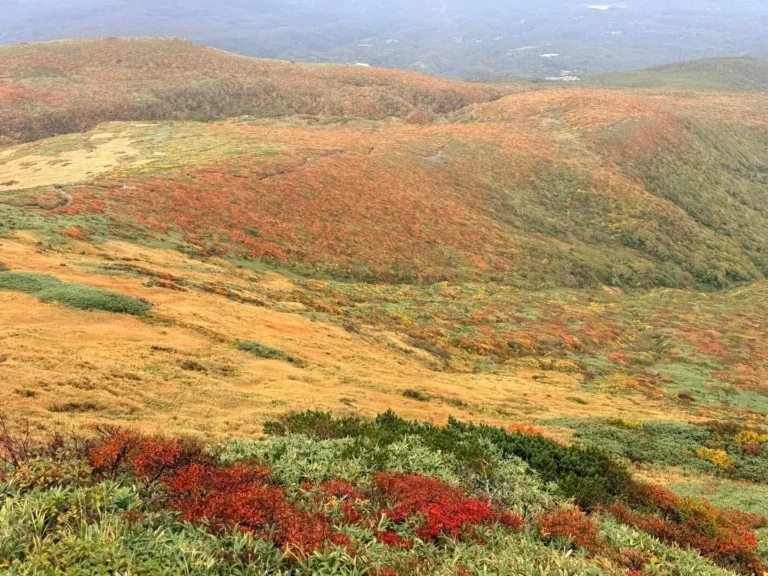 栗駒山頂から眺めたいわかがみ平方面