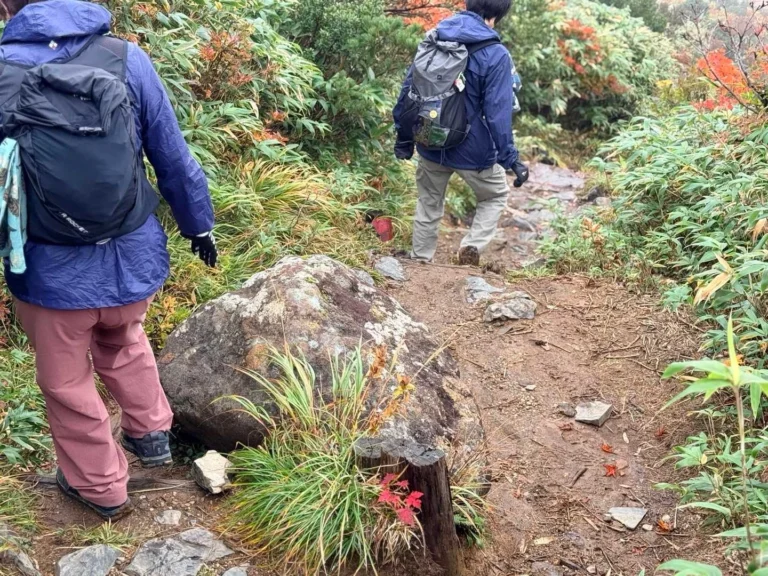 栗駒山・須川コースと産沼コース 泥々の区間もあるよ