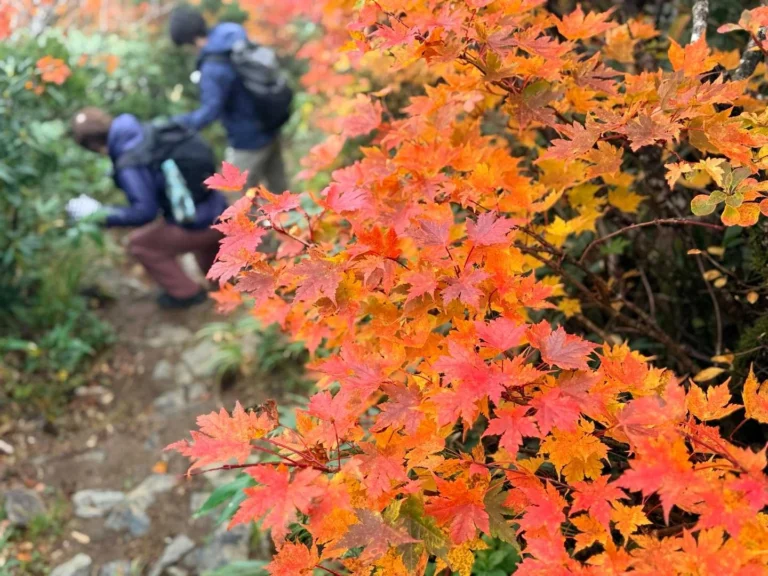 栗駒山・須川コースと産沼コース 紅葉が鮮やかだね
