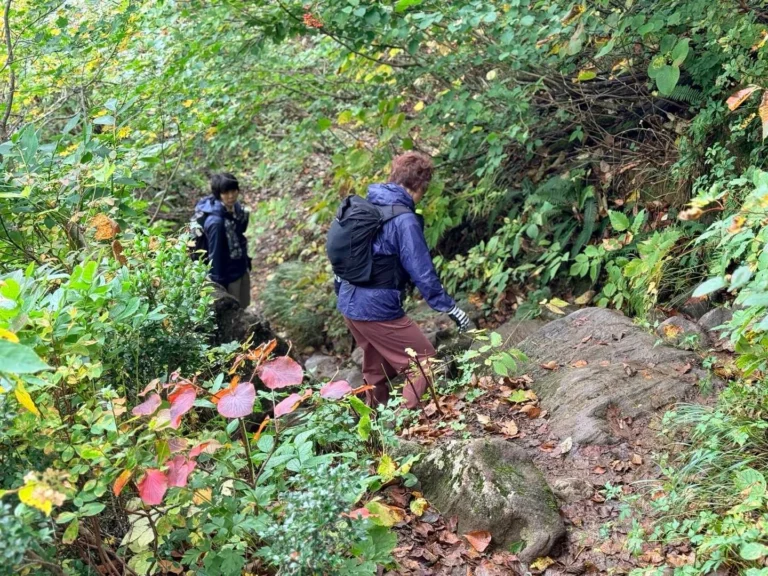 栗駒山・須川コースと産沼コース 段差も大きいので慎重に降りて行こう