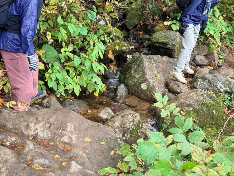 栗駒山・須川コースと産沼コース 小さな渡渉ポイント