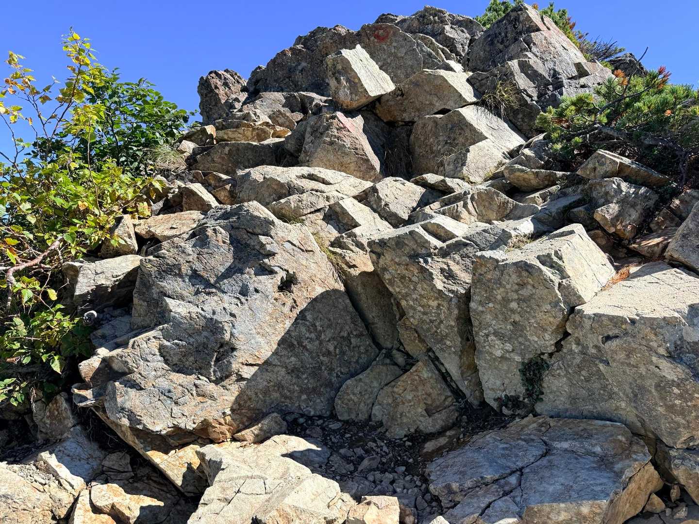 仙丈ヶ岳・北沢峠ルートの景色に見とれず足元を見たい岩の下り（2026年9月）