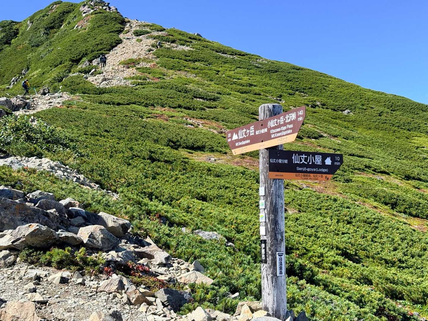 仙丈ヶ岳・北沢峠ルートの山頂を巻いて仙丈小屋へ向かえる分岐（2026年9月）