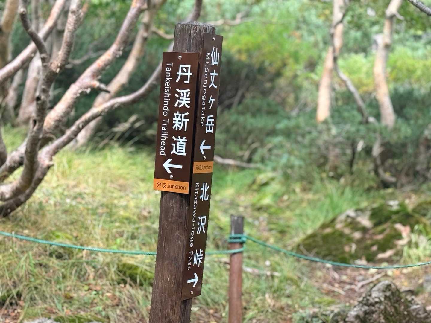 仙丈ヶ岳・北沢峠ルートの丹渓新道との分岐（2026年9月）