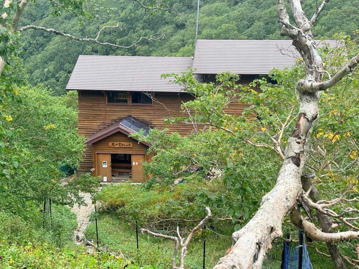 仙丈ヶ岳・北沢峠ルートのダケカンバの森に建つ馬の背ヒュッテ（2026年9月）