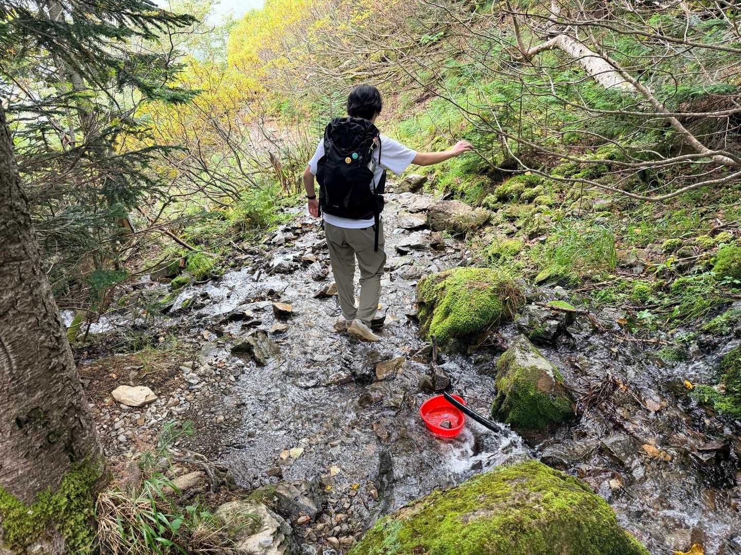 仙丈ヶ岳の藪沢ルートで雨後の濡れた足場を慎重に通過する登山者（2026年9月）