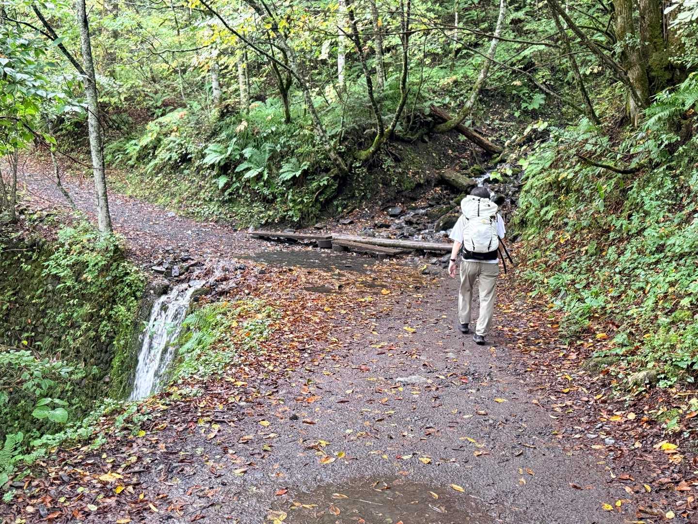 槍ヶ岳への山行で撮影した明神から徳沢への道