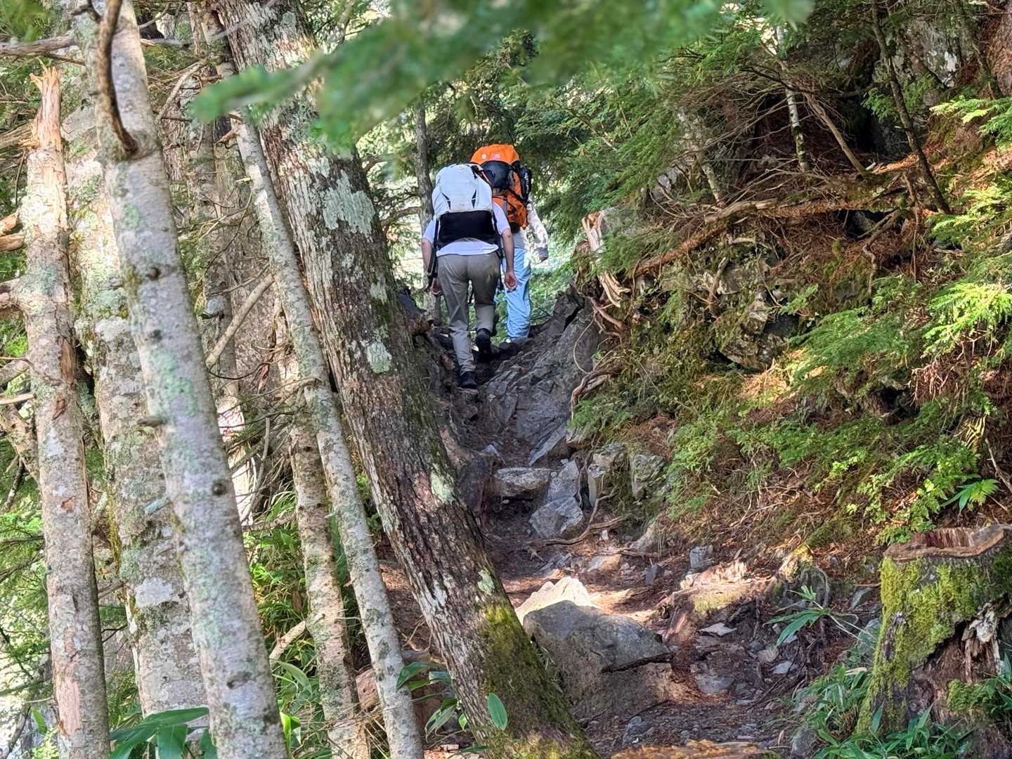 槍ヶ岳への山行で撮影した槍沢への登り始め