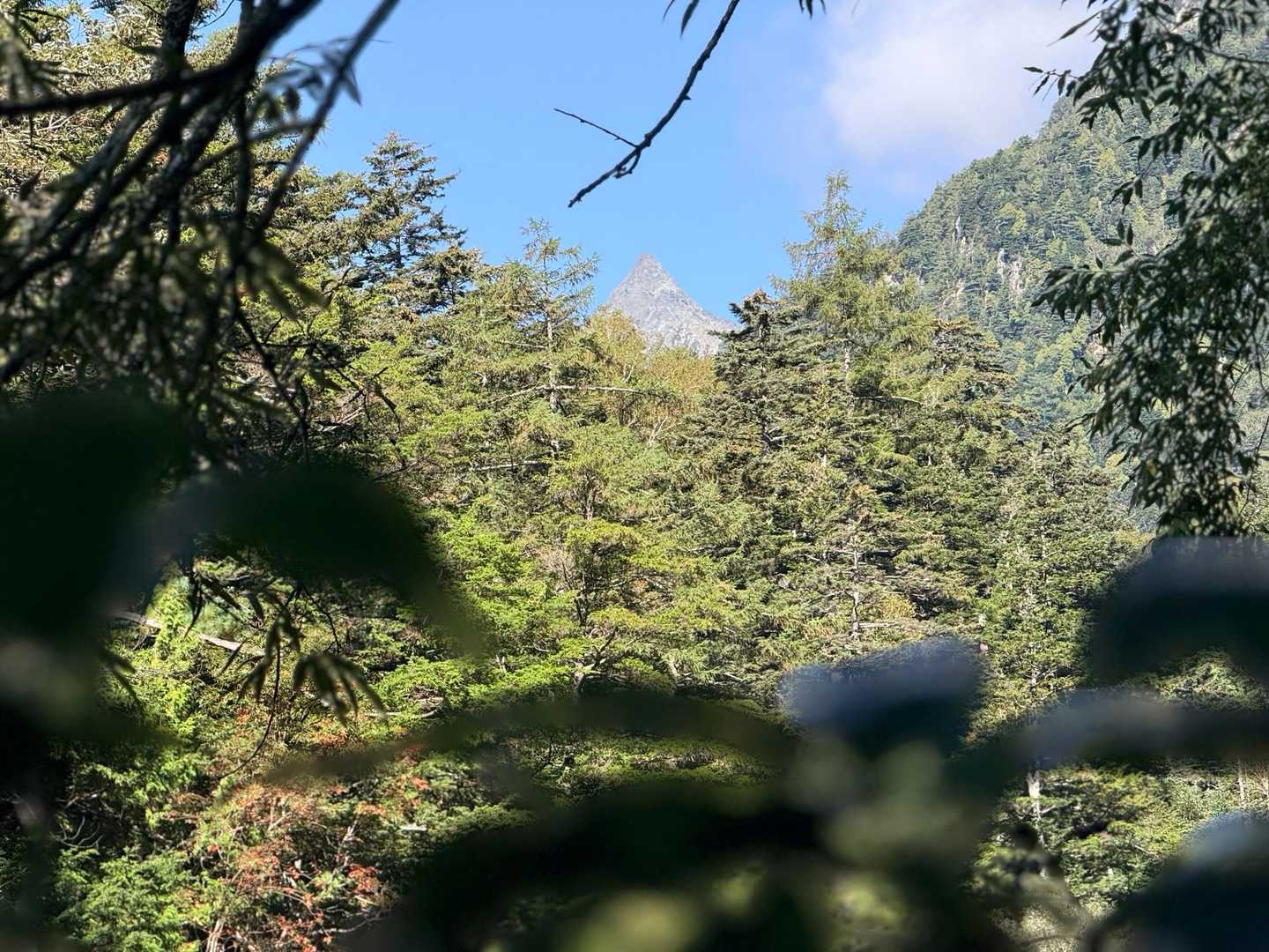 槍見河原の木々の間から小さく見えた槍ヶ岳の穂先