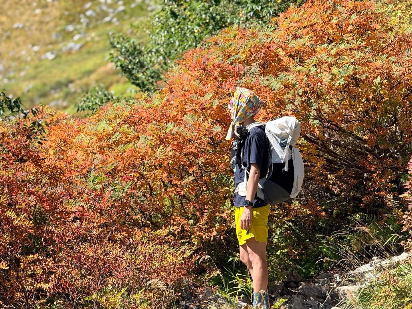 槍ヶ岳への山行で撮影した下山道の紅葉