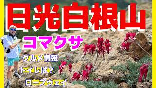 日光白根山 コマクサ咲き誇る天空の花園 五色沼 の動画サムネイル