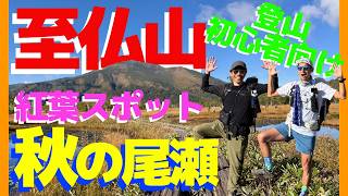 秋の尾瀬ヶ原と紅葉ピークの至仏山 の動画サムネイル