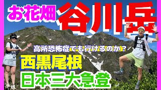 谷川岳 日本三大急登 西黒尾根 高山植物 の動画サムネイル