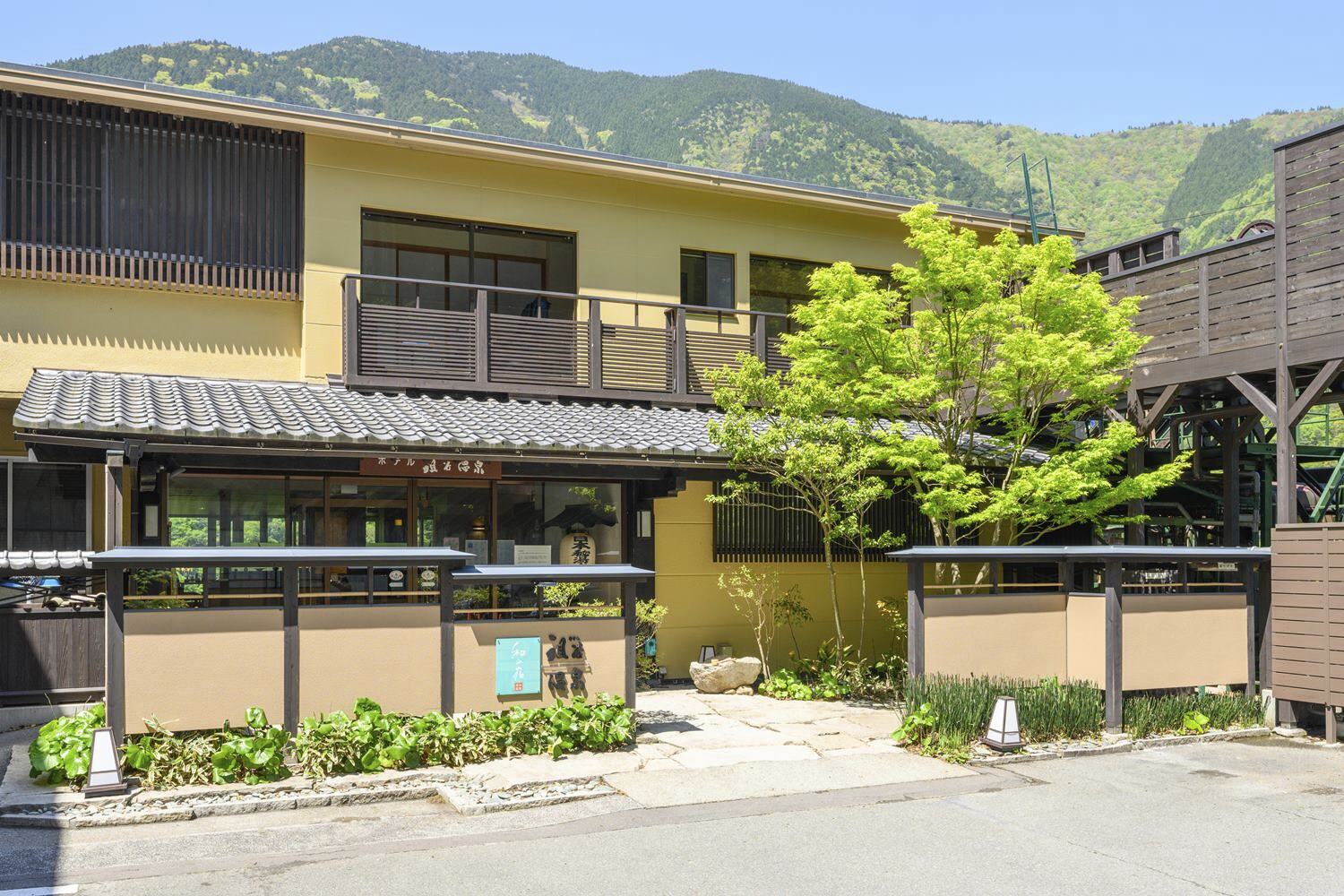 和の宿 ホテル祖谷温泉の宿泊施設写真