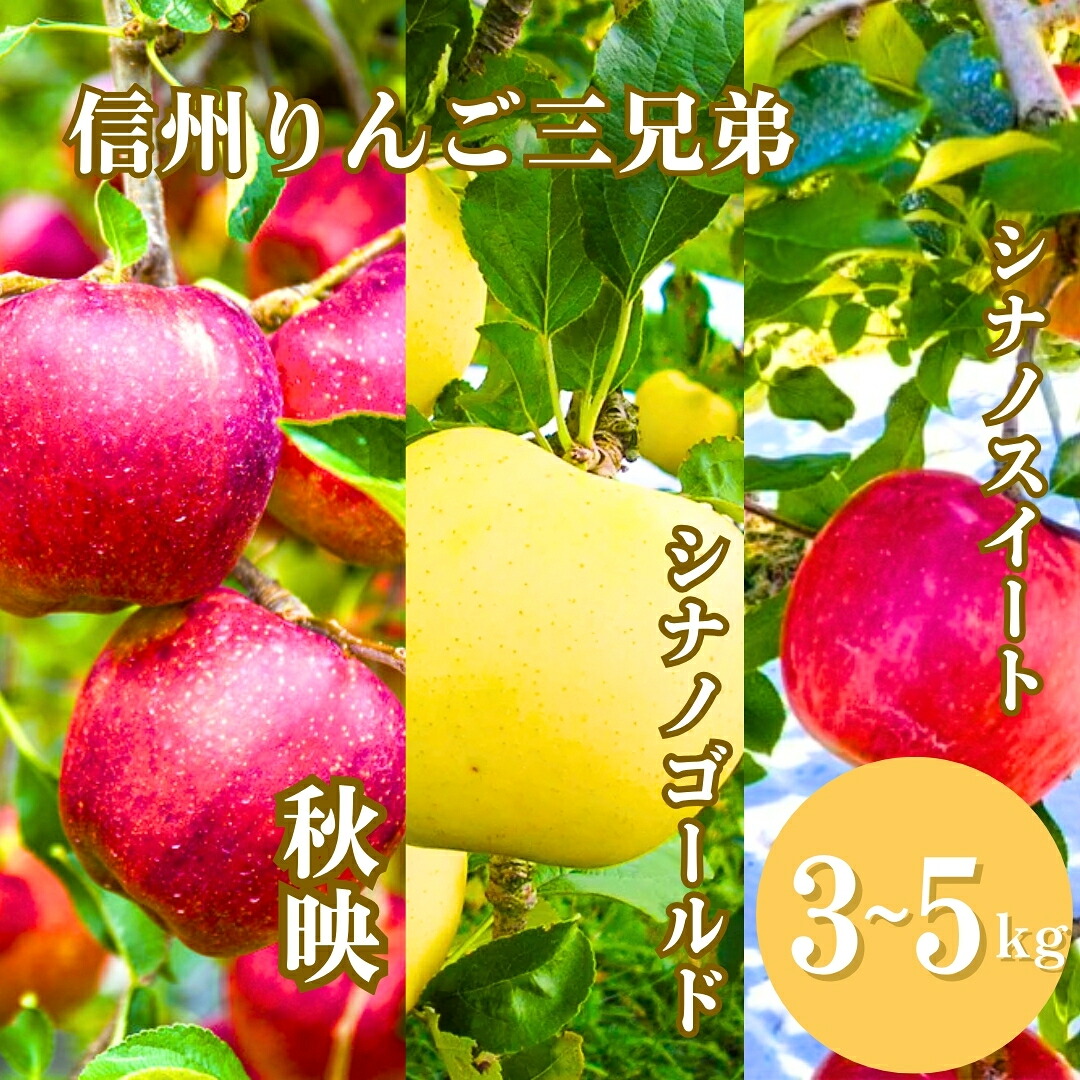 千曲市の返礼品・信州りんご3種食べ比べ 約5kg