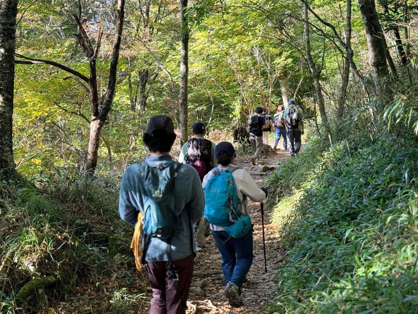 石鎚山・成就社ルート｜八丁へ続く下り坂