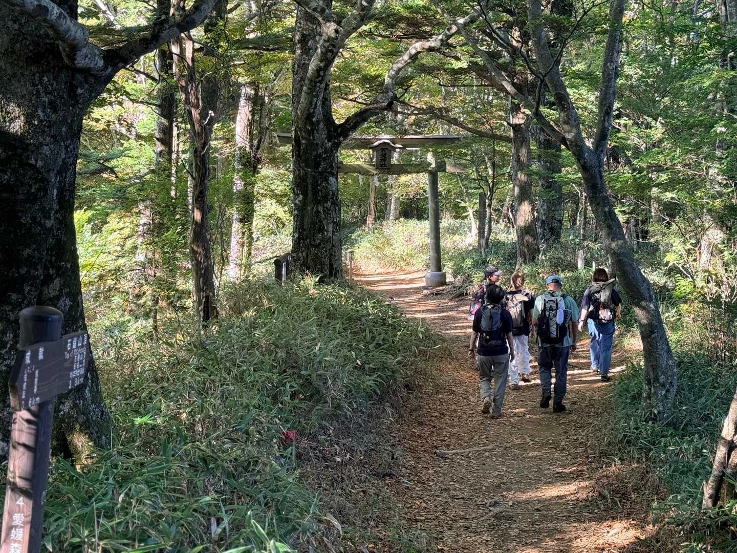 石鎚山・成就社ルート｜登山道途中の鳥居