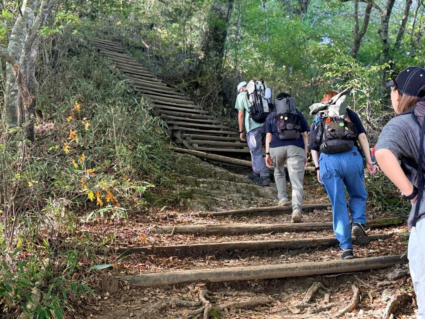石鎚山・成就社ルート｜八丁から登りに変わる道