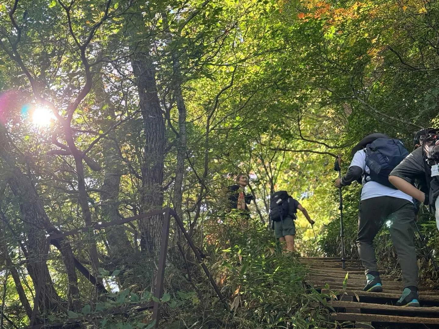 石鎚山・成就社ルート｜日差しを受ける登山道