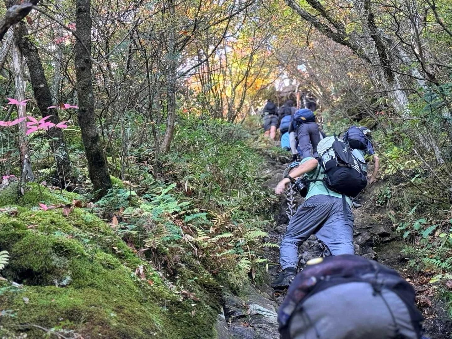 石鎚山・成就社ルート｜試しの鎖にも登山者の列
