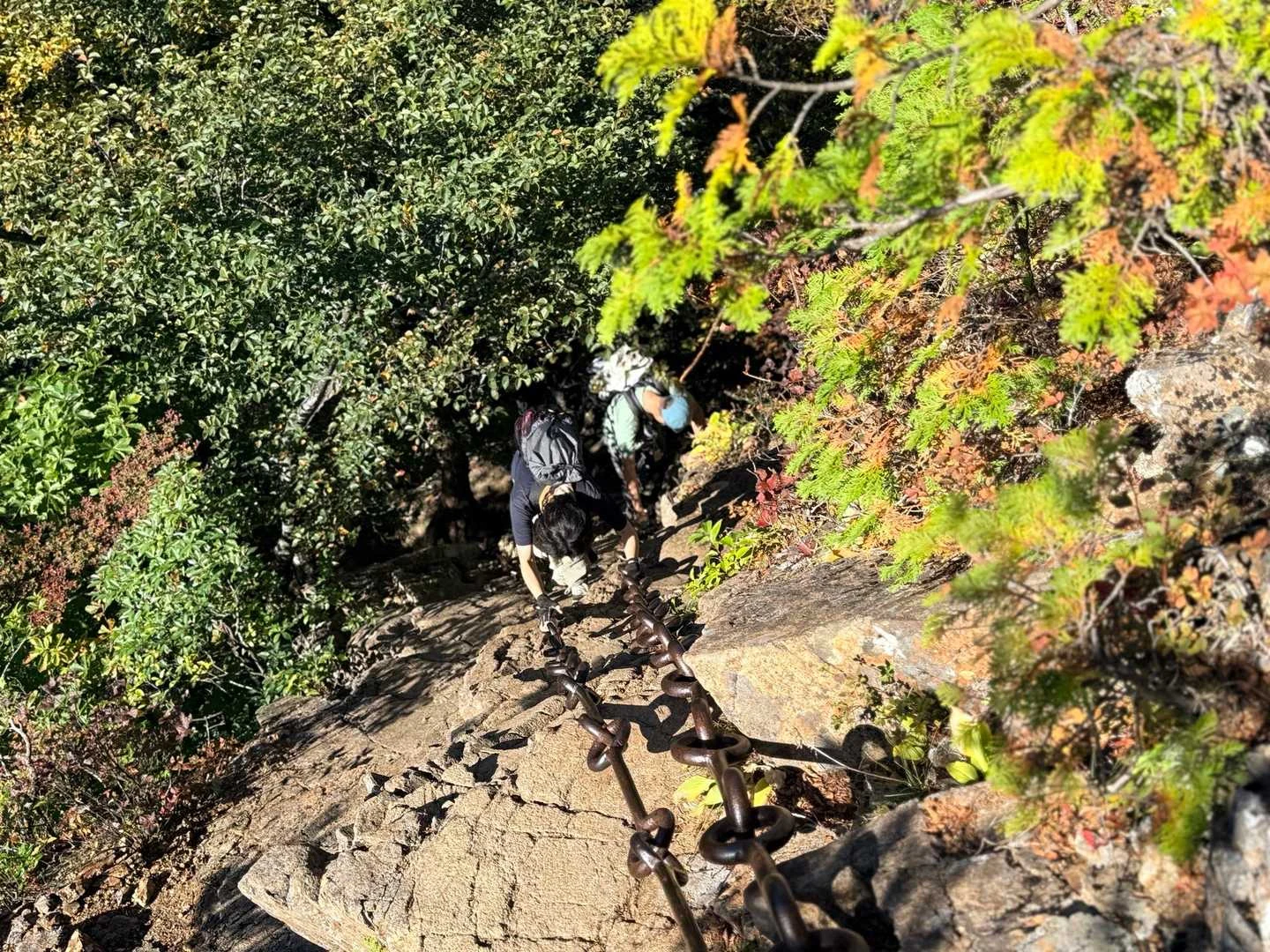 石鎚山・成就社ルート｜岩壁を横切る試しの鎖の下り