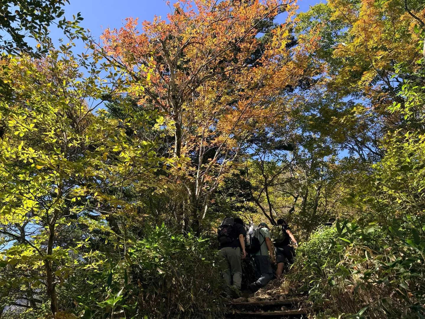 石鎚山・成就社ルート｜秋色に染まる登山道